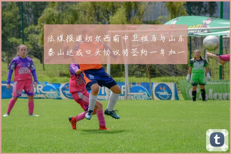 法媒报道切尔西前中卫祖马与山东泰山达成口头协议将签约一年加一年