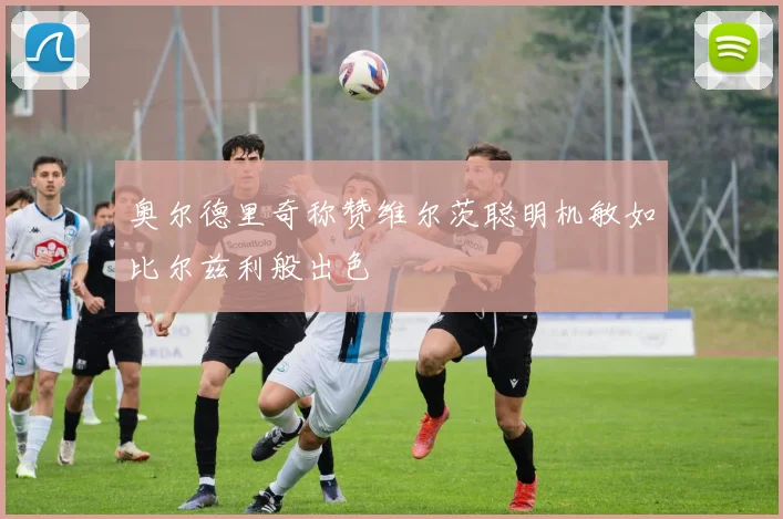 奥尔德里奇称赞维尔茨聪明机敏如比尔兹利般出色