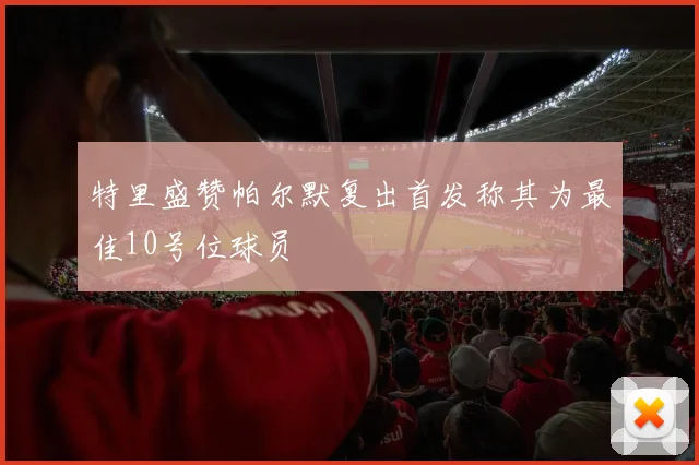 特里盛赞帕尔默复出首发称其为最佳10号位球员